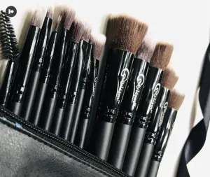 Black Jade Brush Set (15 piece brush collection with bag)