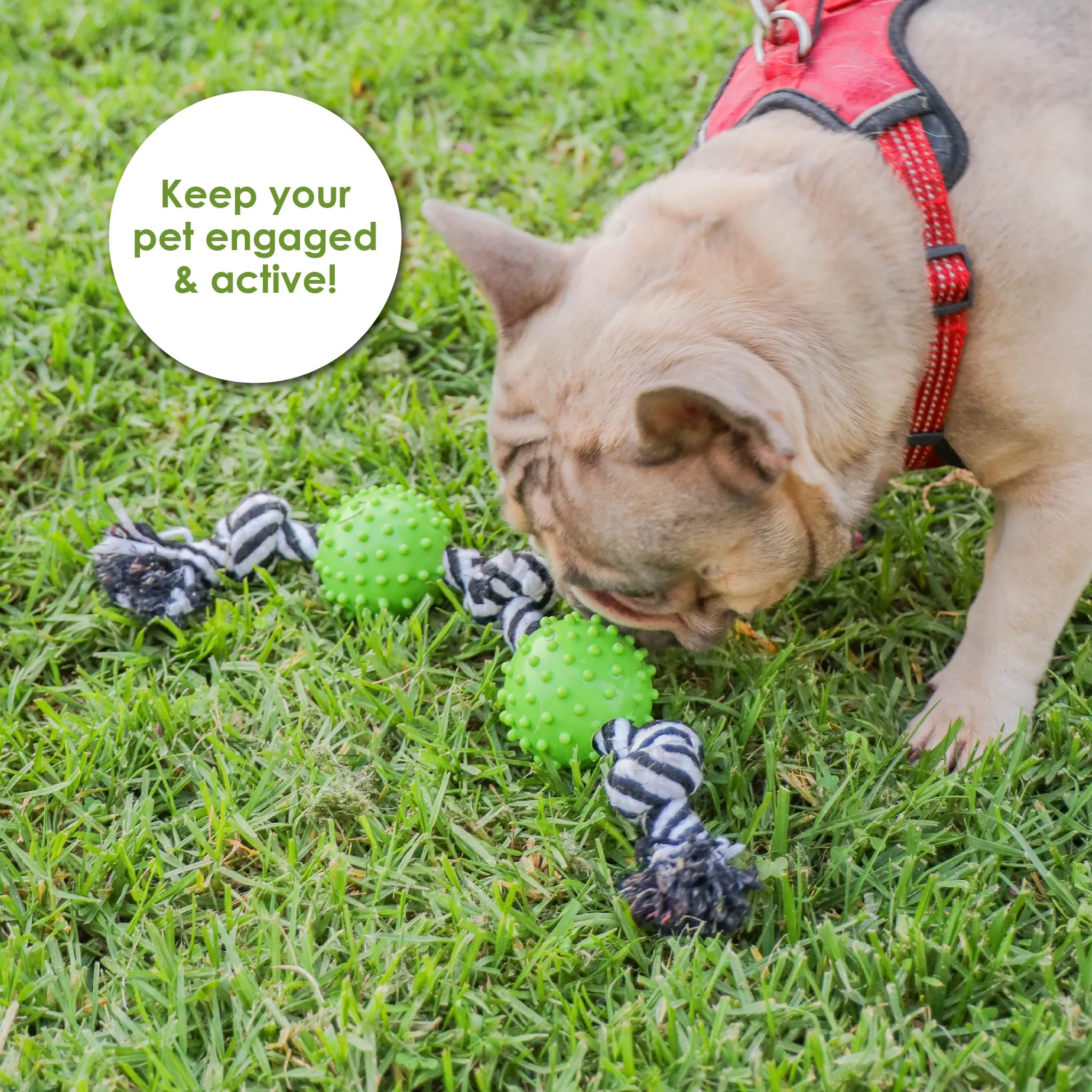 Durable Rope and Chew Dog Toy: Fun, Mentally & Physically Stimulating, Built Tough with Reinforced Knots, Safe with No Harmful Chemicals, Variety of Textures, Perfect for Chewing, Playing & Fetching, for Pets