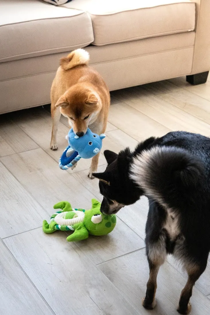 Hippy the Hippo Dog Toy