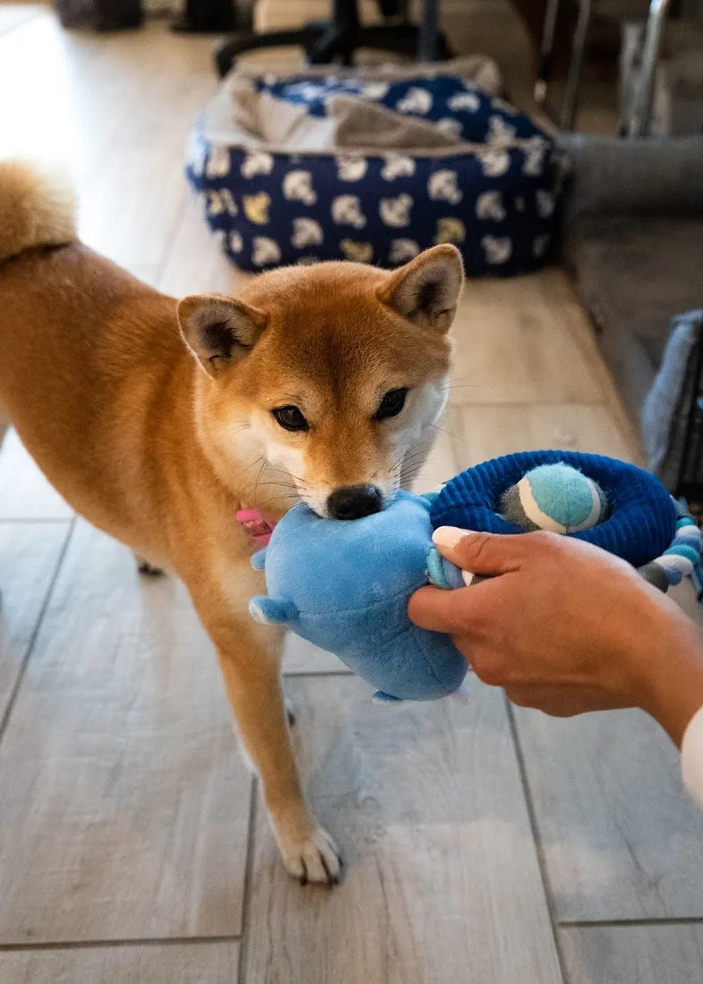 Hippy the Hippo Dog Toy