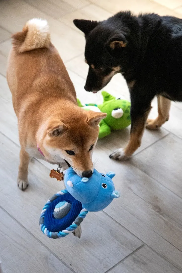 Hippy the Hippo Dog Toy