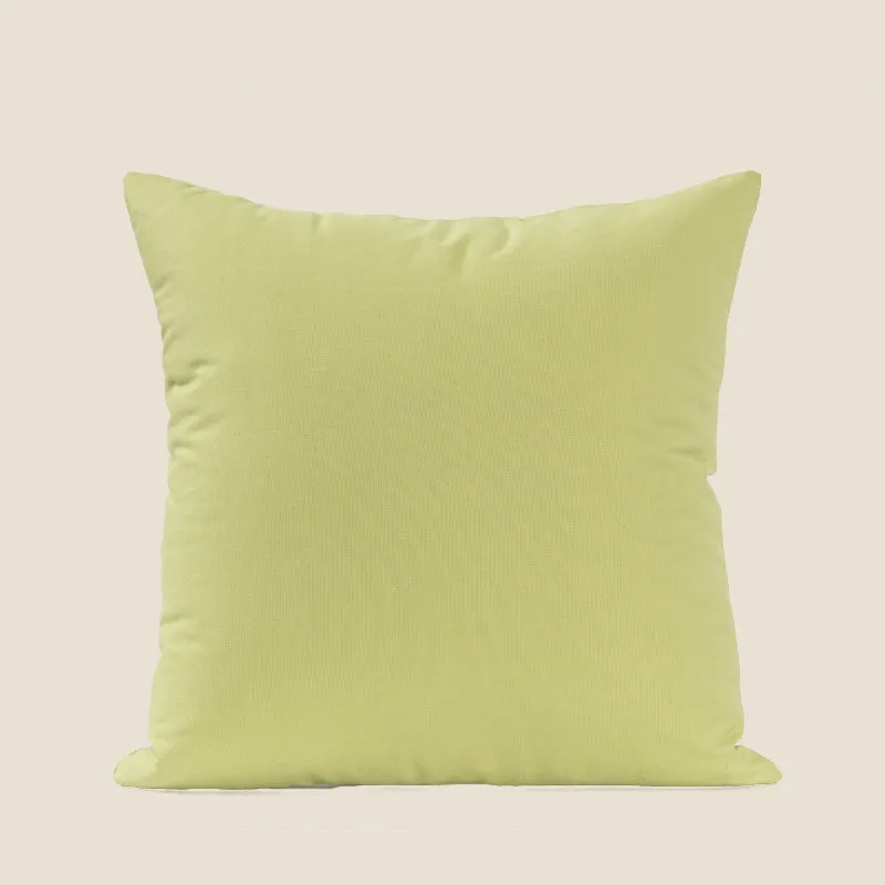 Light Green Throw Pillow