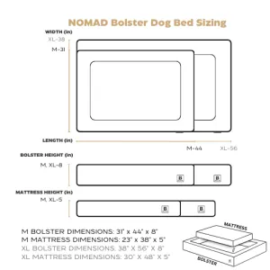 NOMAD (2-in-1) - Coming Soon