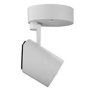 Radiant Lighting RS142W Spotlight LED Ceiling White LTS005-W