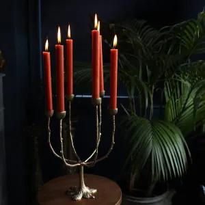 Recycled Brass Tree Multi Candleholder Candelabra