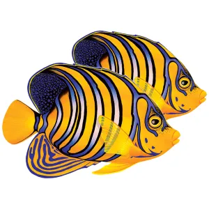 Regal Angelfish (Double) - Pool Mosaic