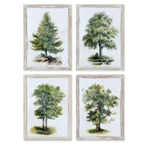 TREE STUDY, SET OF 4